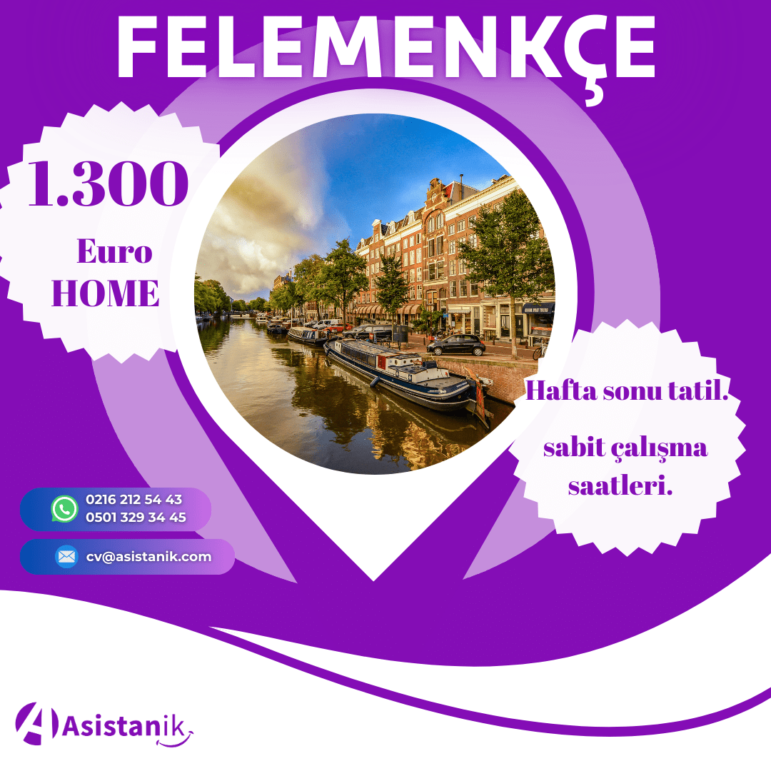 Felemenkçe, Kurumsal Arama Uzmanları